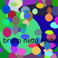 brutto netto rechner rechner