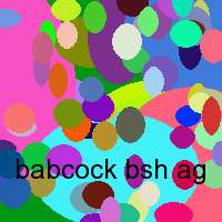 babcock bsh ag